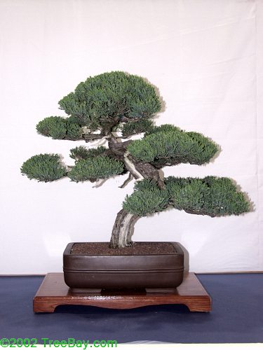 2002Betsuin 090_adj.jpg